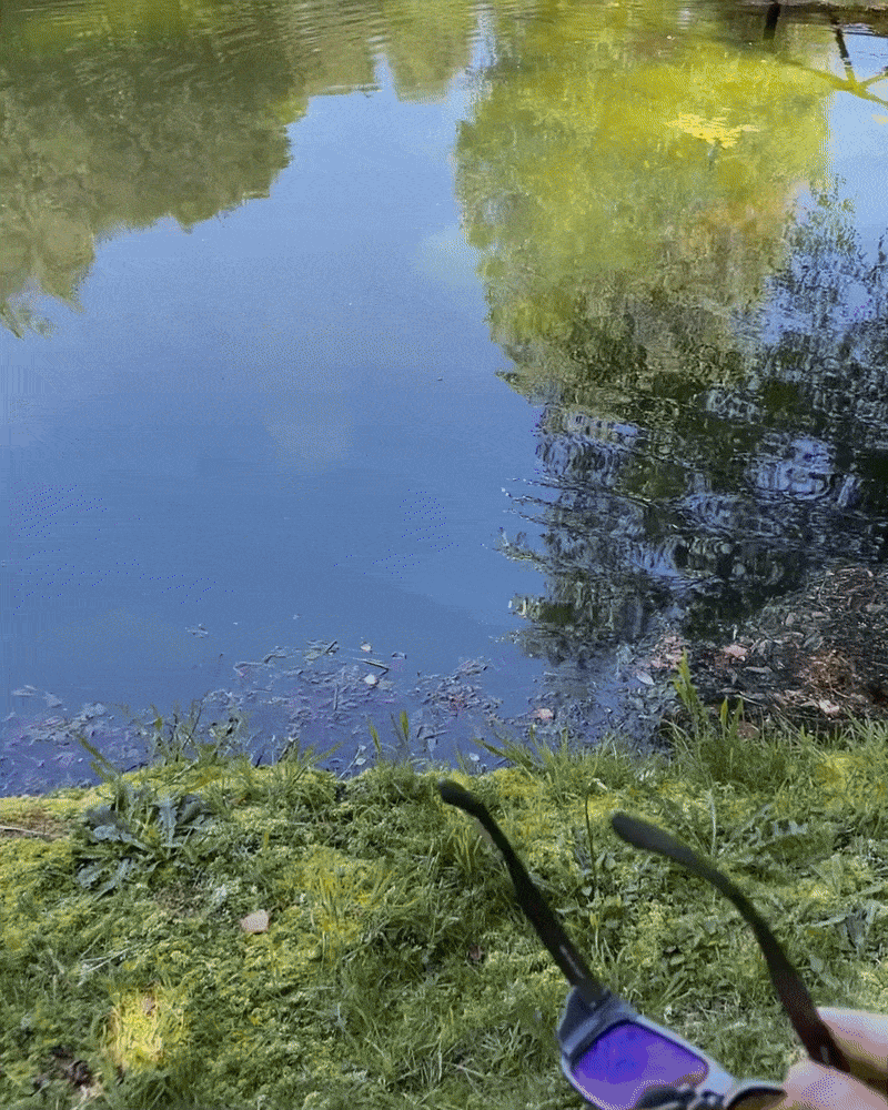 Fish Miracle Polarized Sunglasses